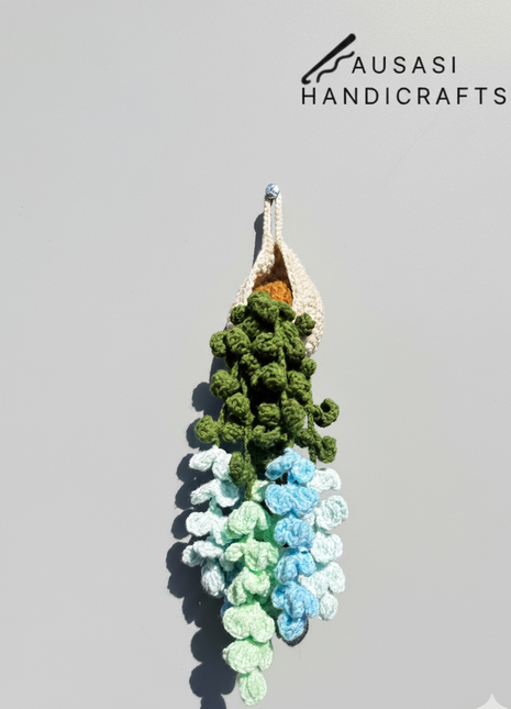 Crochet Hanging Plant (Blue/Green)