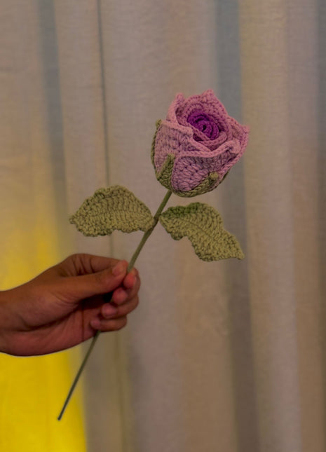 Blush Bloom Crochet Rose
