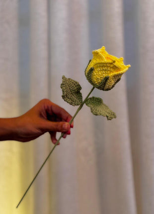 Bright Yellow Rose