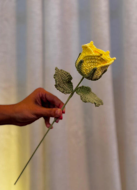 Bright Yellow Rose