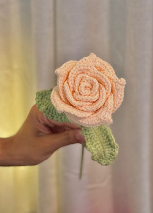 Cotton Candy Rose