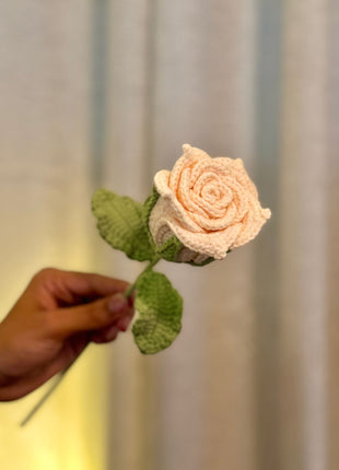 Cotton Candy Rose