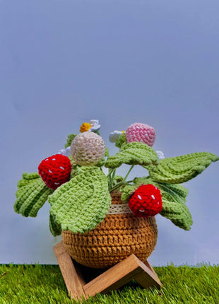 Strawberry Bloom Pot
