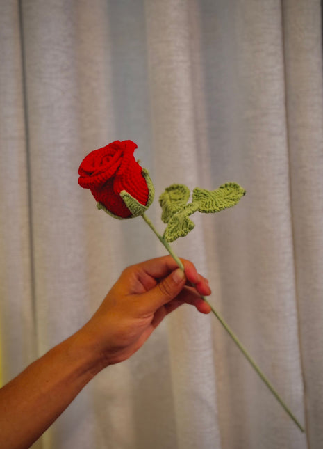 Wine Rose