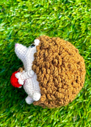 🌿Hedgehog Hugger